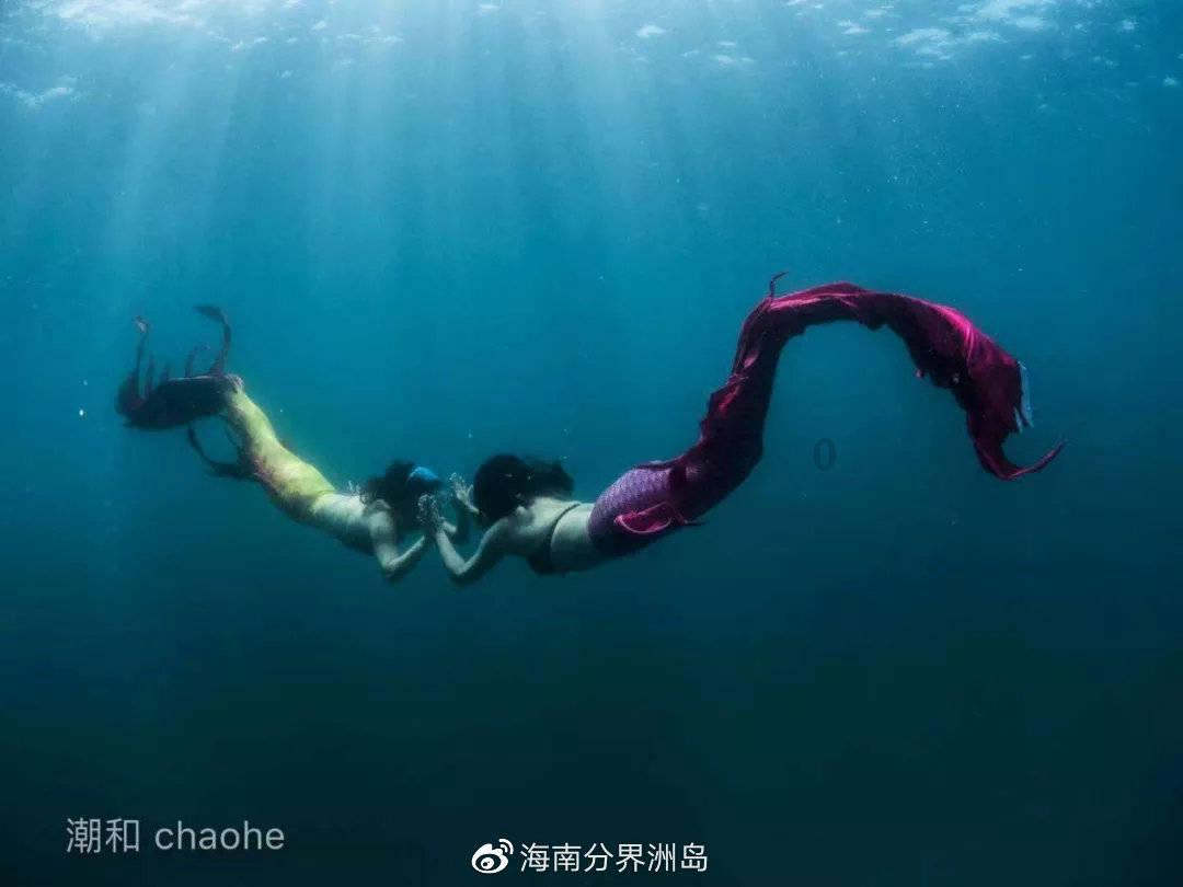 改革求变 惠民有感 绘就美丽江东幸福画卷